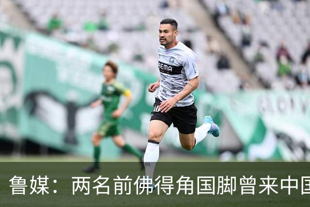 鲁媒：两名前佛得角国脚曾来中国踢球，里卡多效力泰山25场1球